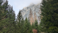 PXL_20241103_093004764