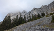 PXL_20241103_093552840