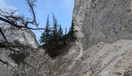 PXL_20241103_095151230