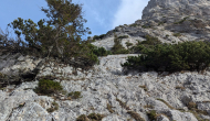 PXL_20241103_101003795