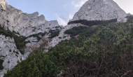 PXL_20241103_102614519