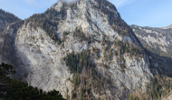 PXL_20241103_103156001