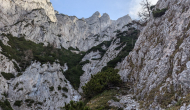 PXL_20241103_103435473