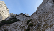 PXL_20241103_104232359