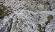 PXL_20241103_105050785