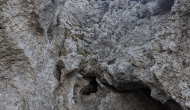 PXL_20241103_110815234