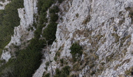PXL_20241103_114149536