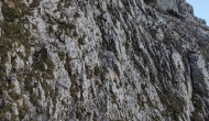 PXL_20241103_114527449