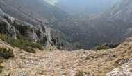 PXL_20241103_122352878