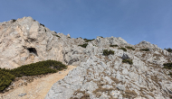 PXL_20241103_123019295