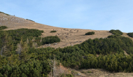 PXL_20241103_124747802