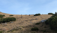 PXL_20241103_124838541