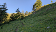 PXL_20260619_052653490