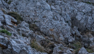 PXL_20260619_082528234