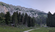 PXL_20260627_041653890