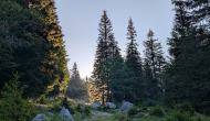 PXL_20260627_043612927