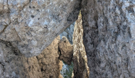PXL_20260627_064341929