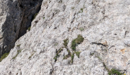 PXL_20260627_064952020