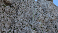 PXL_20260627_072600695