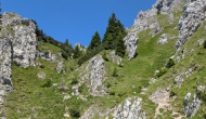PXL_20260627_092750166