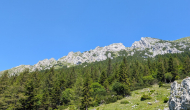 PXL_20260627_095345459