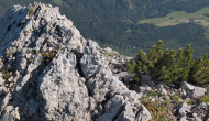 SML_IMG_20260627_082257