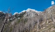 DSC07633