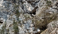 DSC07645