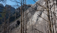 DSC07666