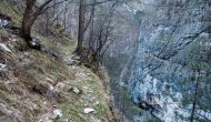 DSC07674