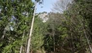 P1050526