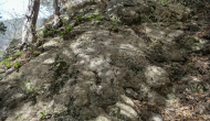 P1050531