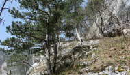 P1050533
