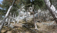P1050534
