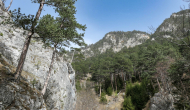 P1050539