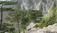 P1050544