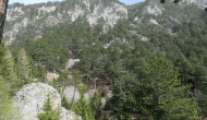 P1050545