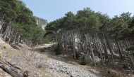 P1050546
