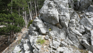 P1050548
