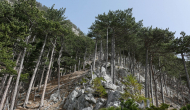 P1050550