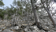 P1050556