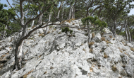 P1050558