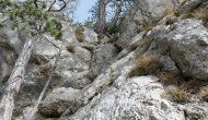 P1050564