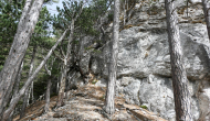 P1050569