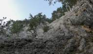 P1050584