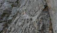P1050588