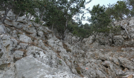 P1050590