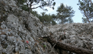 P1050591