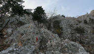 P1050592