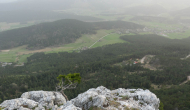 P1050601